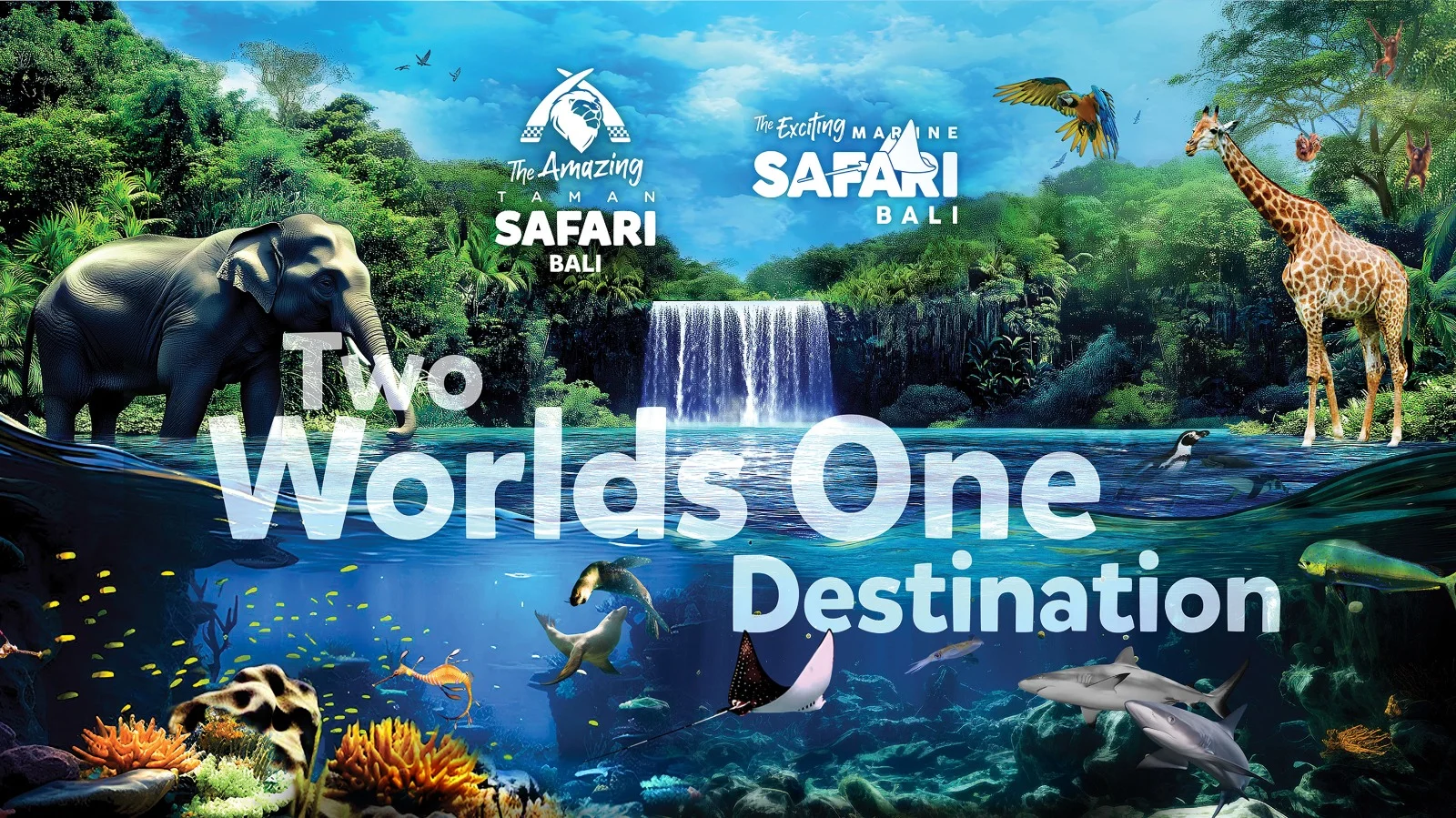 双园联票(巴厘岛海洋野生动物园+巴厘岛野生动物园)