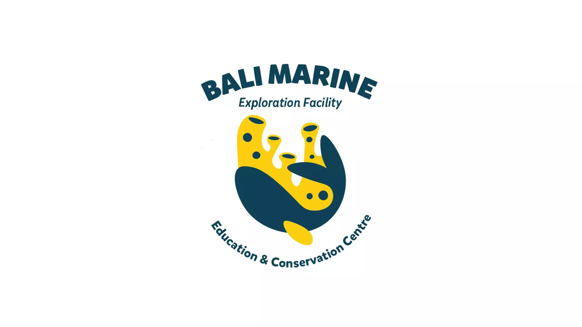 “鳍”妙鲨鱼讲座