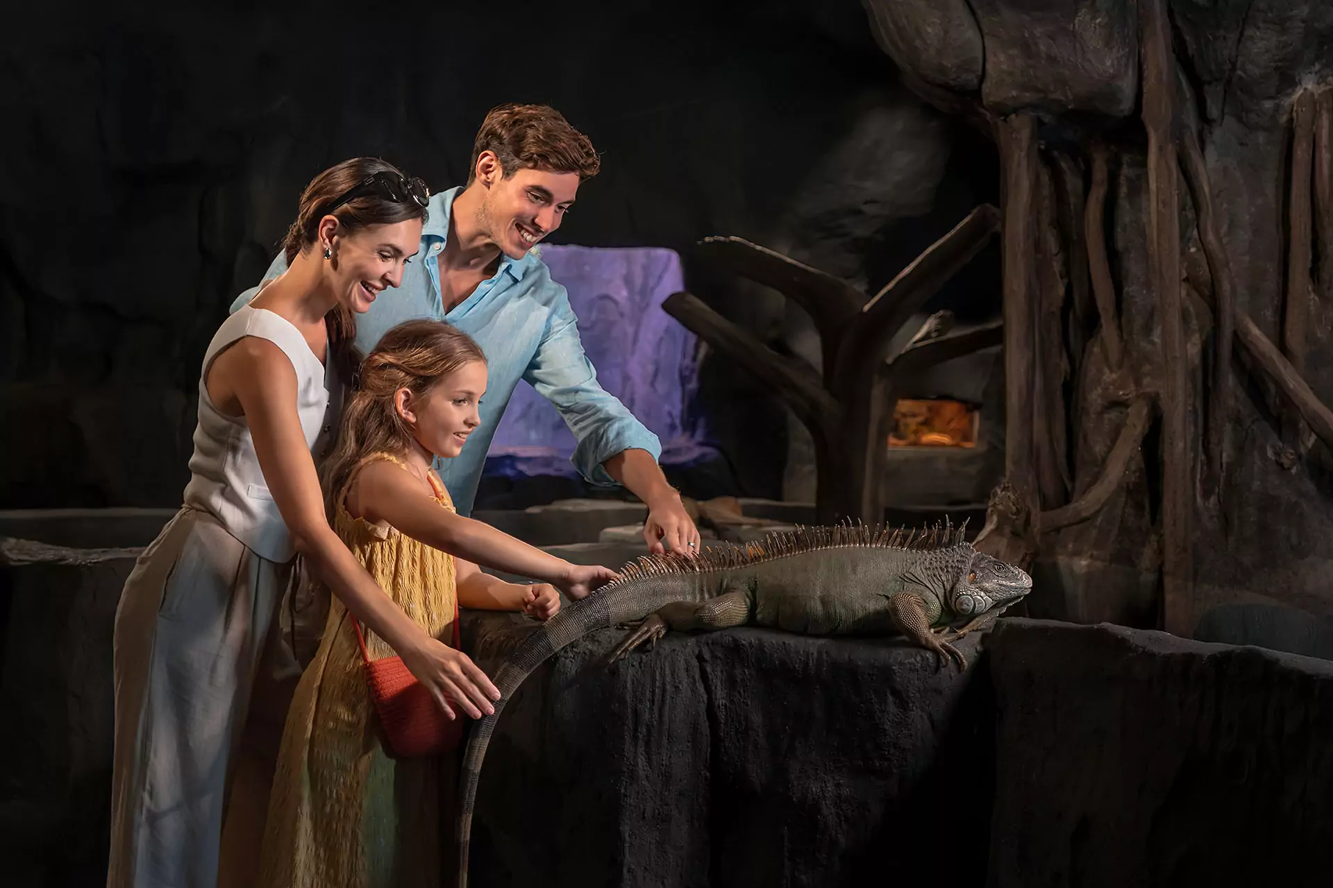 爬行动物触摸池